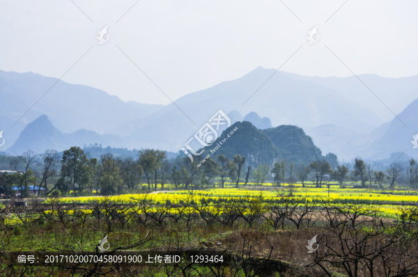 田園秋色
