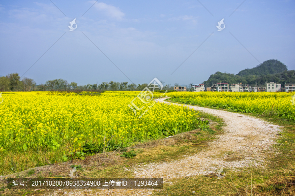 鄉(xiāng)村小路