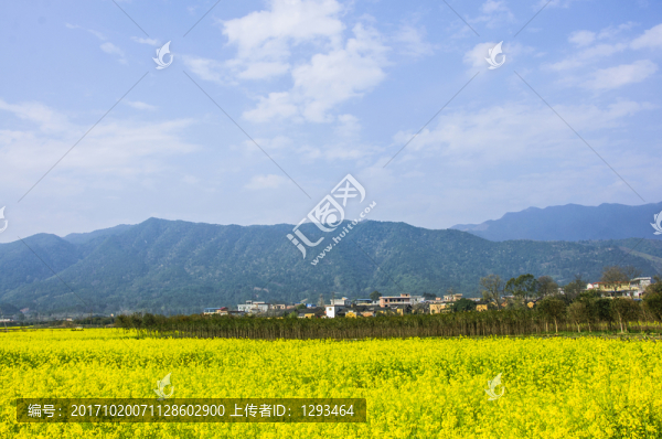 田園風(fēng)光