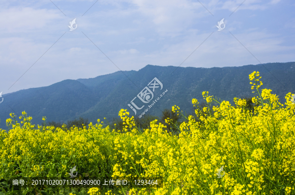 田園風(fēng)光