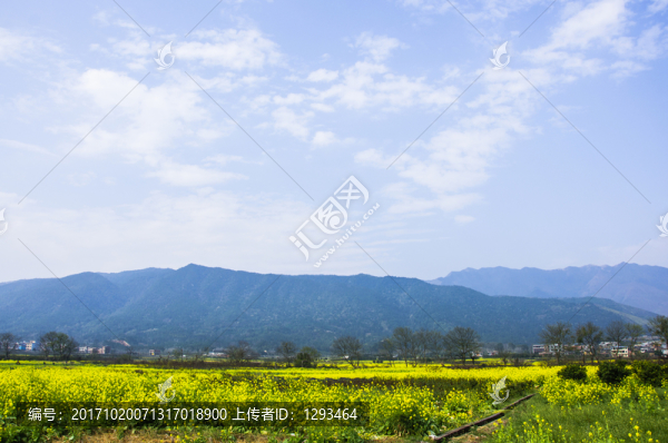 田園風光
