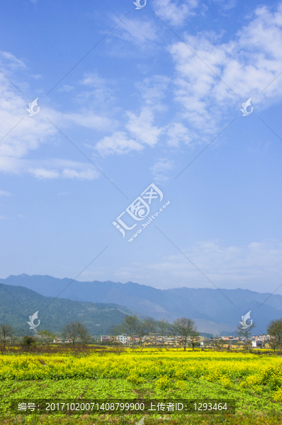 田園風光