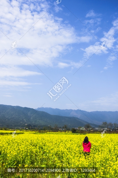 田園風(fēng)光