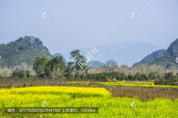 田園風(fēng)光