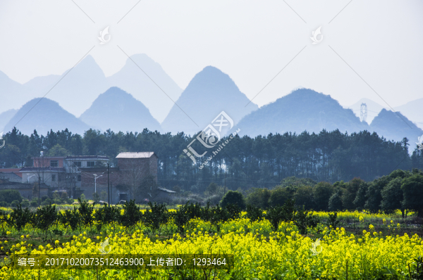田園風(fēng)光