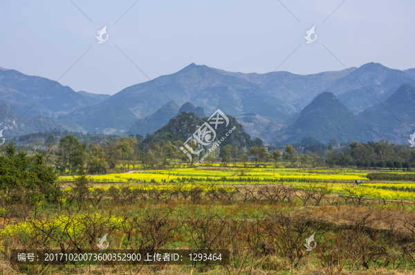 田園風(fēng)光