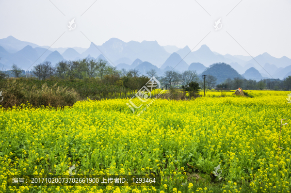 田園風光