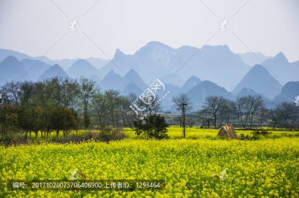 田園風(fēng)光