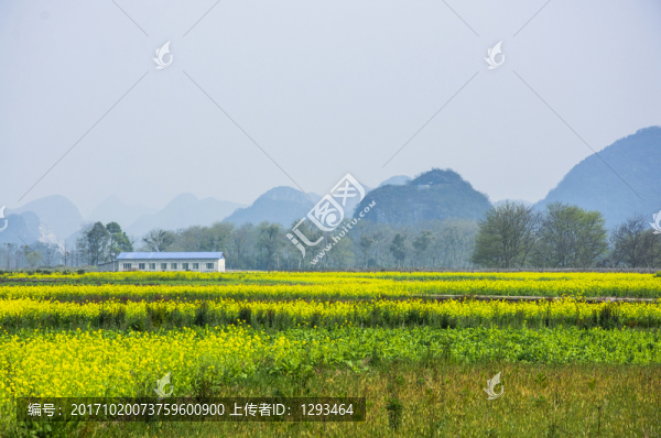 田園風(fēng)光