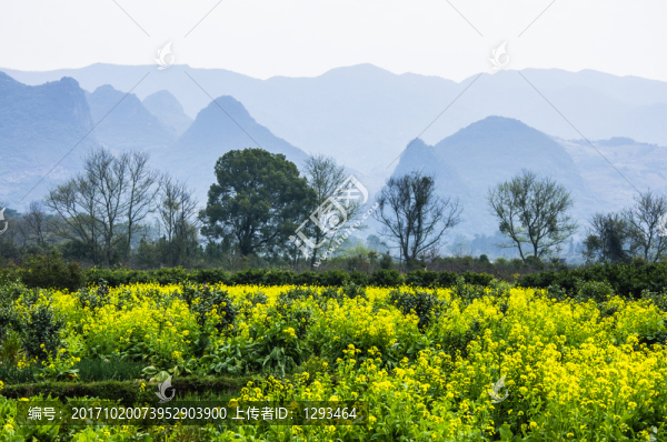 多彩田園