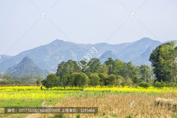 多彩田園