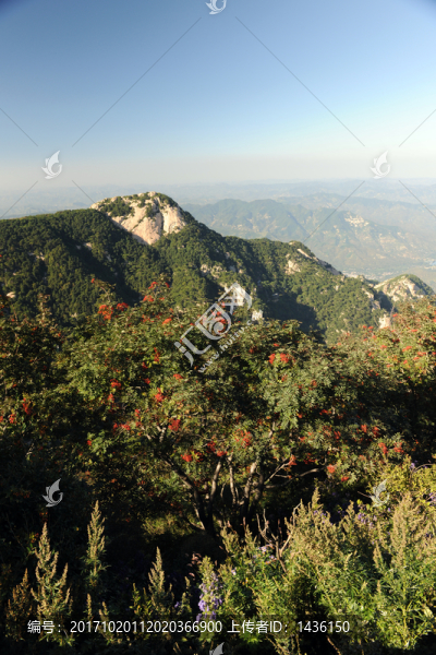 秀美蒙山
