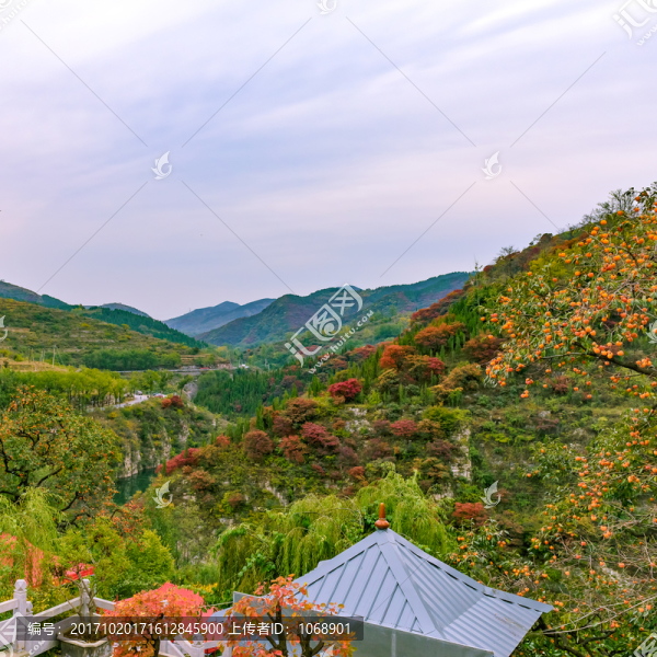 鎮(zhèn)門峪秋色