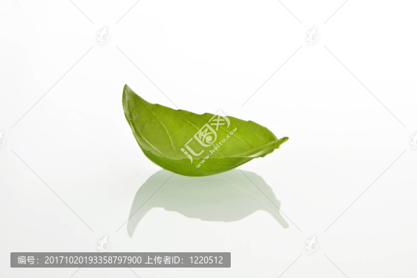 葉