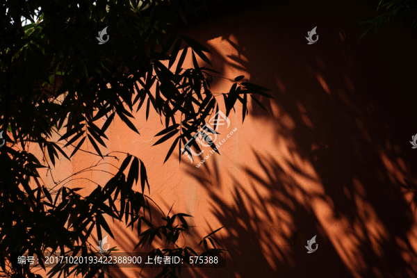 竹影