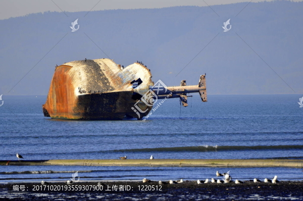 海嘯，智利，2月27日，2010。
