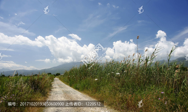 sommerweg