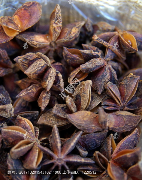 茶
