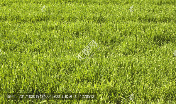 環(huán)境