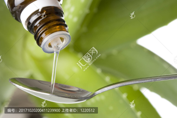 蘆薈