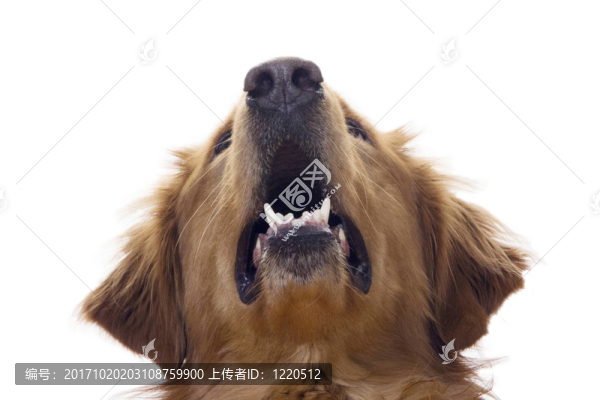 笑