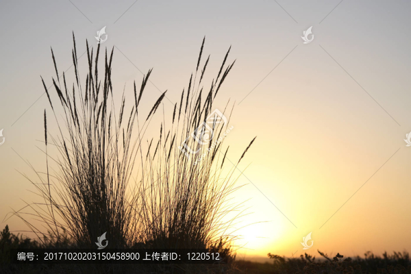 日落