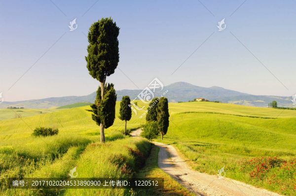 podere,terrapille,07