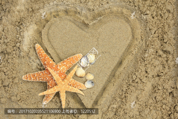 心與海星