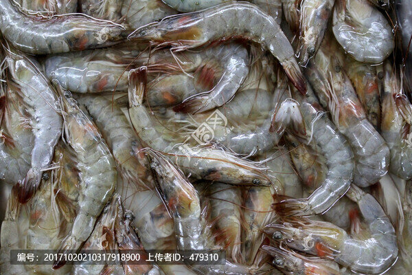 海鮮,蝦,美食,海產(chǎn)品,食品
