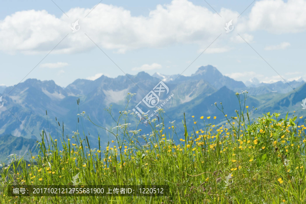 山山-阿爾高-,Nebelhorn