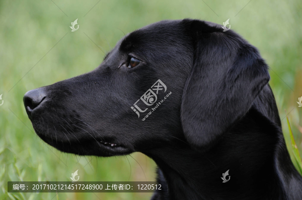 等待