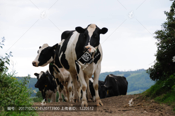 農(nóng)業(yè)