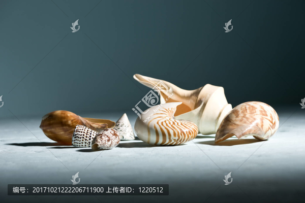 貝類