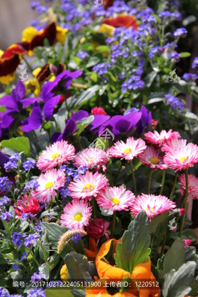 花