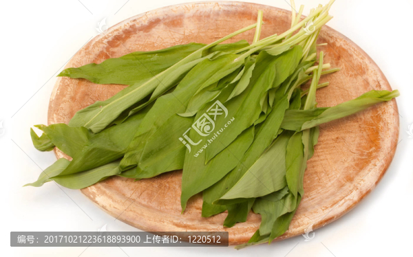 鮮蒜