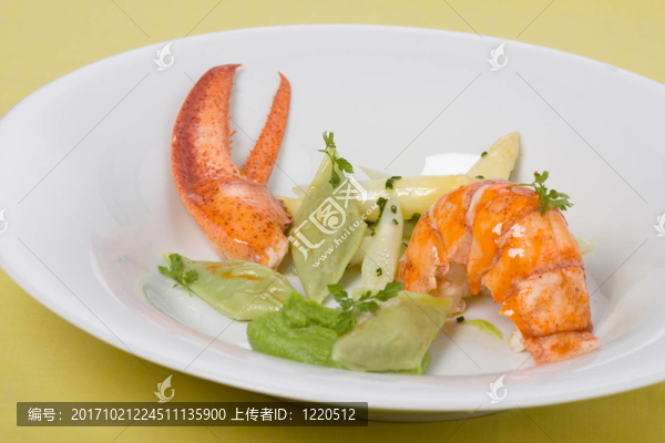 龍蝦箝
