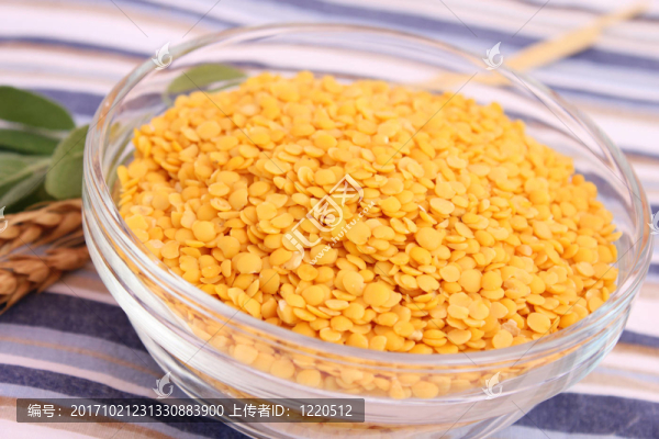 黃色的小扁豆