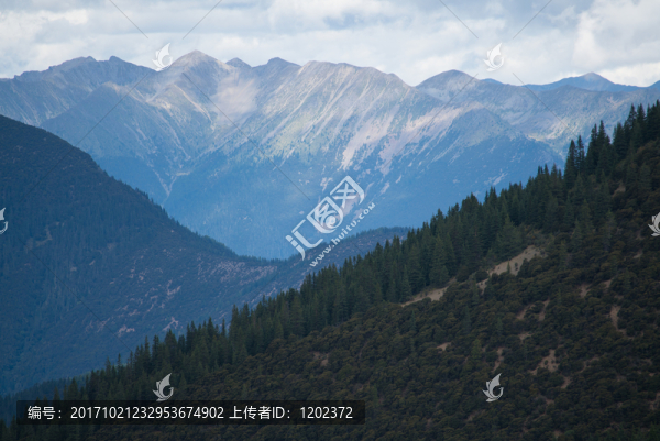 山