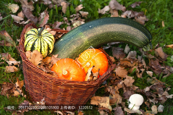 herbststimmung