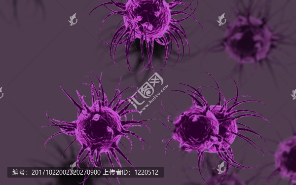 研究