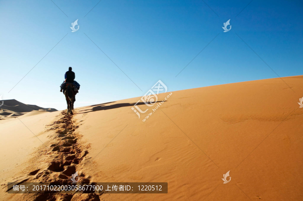 travel