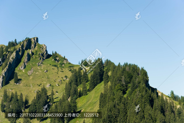 山