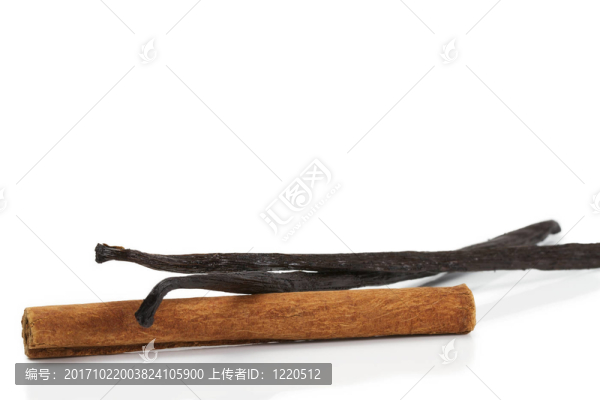 肉桂棒和兩個香草豆