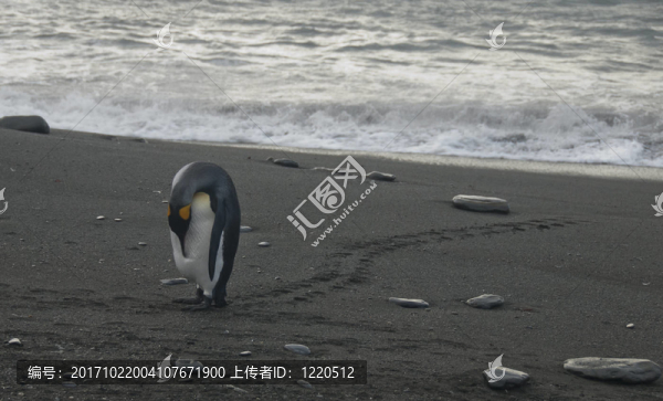 海灘