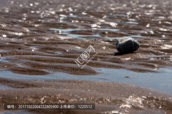 沙灘上的沙浪