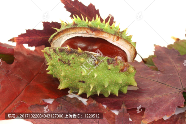 金黃