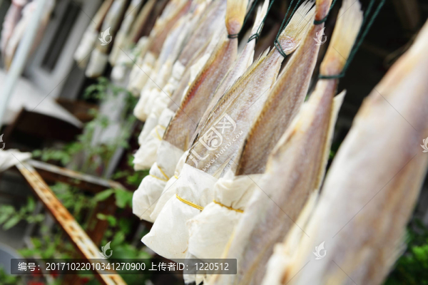 食品