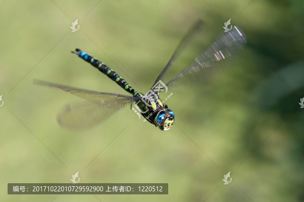 小販