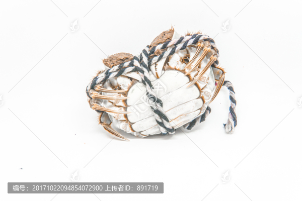 大閘蟹