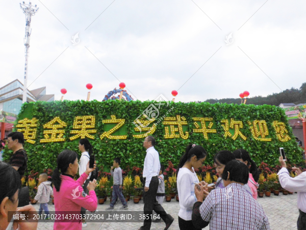 黃金果之鄉(xiāng)